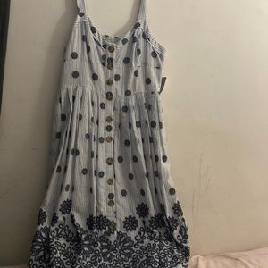 NWT Anthropologie Floral Print blue striped dress